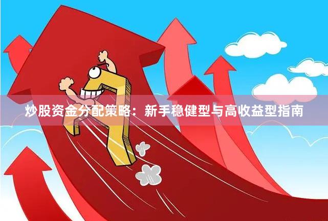 炒股资金分配策略：新手稳健型与高收益型指南